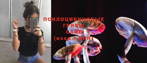 дурь Майский
