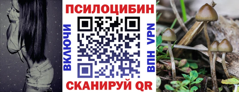 Псилоцибиновые грибы GOLDEN TEACHER Мещовск